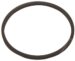 25MM*1,2MM VIERKANTE SNAAR