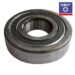 6305ZZ SKF-KOGELLAGER STOFDICHT