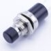 125VAC-1A R18-29B-2-H MINIATUUR DRUKTOETS 1-POLIG OPENER ZWART