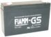 FG11201 6,0V-12AH LOODGELACCU 151X50X94MM. FIAMM