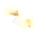 5313275523 KESSELANSCHLUSS NATUR(PPA)(C3-C4) GL2.0