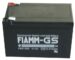 FG21202 12V-12AH LOODGELACCU 151X98X94MM FIAMM