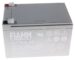 12FGHL48 LOODCELACCU 12V-12000MAH FIAMM VDS