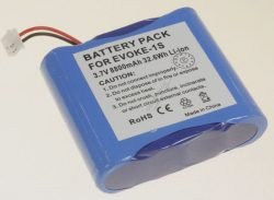 3,7V-8800MAH 3,7V-8800MAH LI-ION ACCU V. RADIO PURE DIGITAL