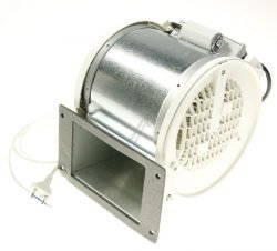 15101000 MOTOR